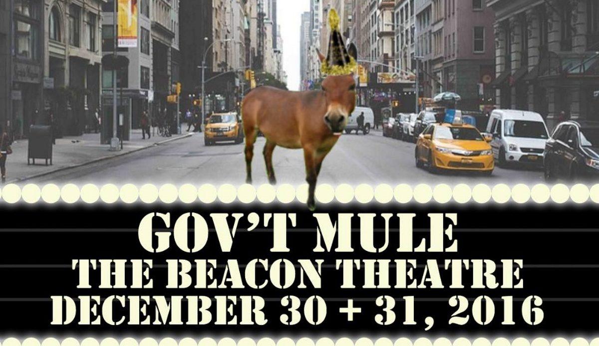 mule-2017-nye-crop