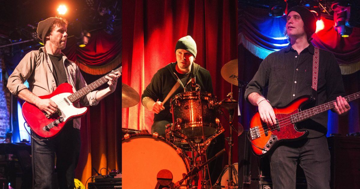 wolf-live-press-crop