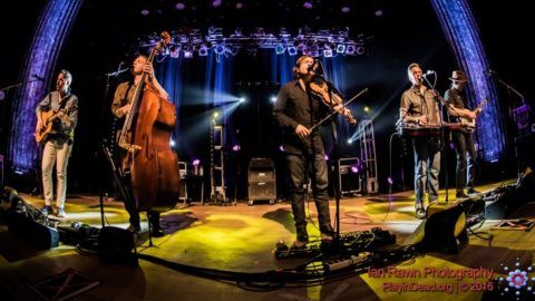 The Infamous Stringdusters Honor Walter Becker At Strawberry Music ... The Infamous Stringdusters Honor Walter Becker At Strawberry Music Festival