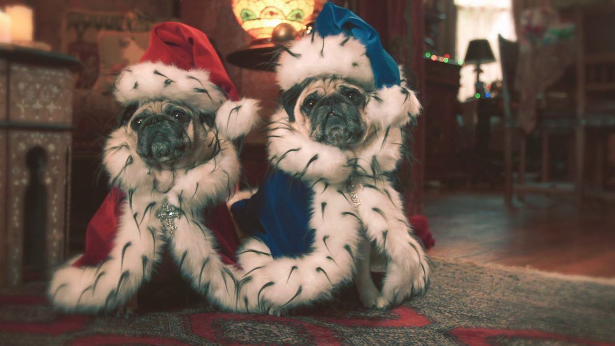 She & Him Share ‘Winter Wonderland’ Video