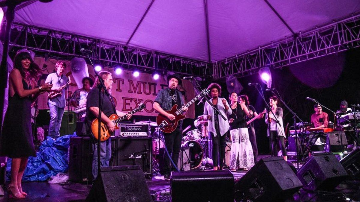Gov't Mule Fills Stage With Guests At Second Island Exodus 2017 Show In Jamaica