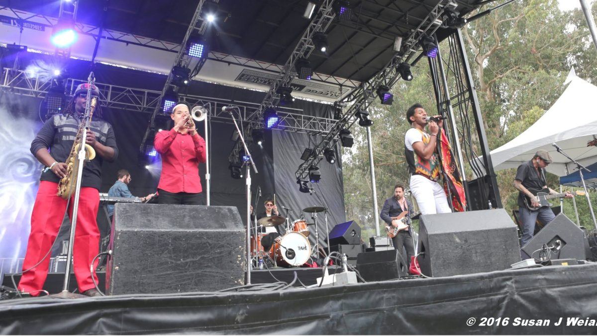 Con Brio To Headline Blue Bear School Of Music 11th Anniversary Concert