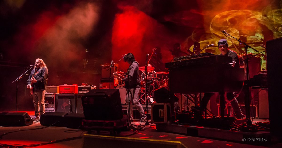 Govt Mule J Williams Crop 5