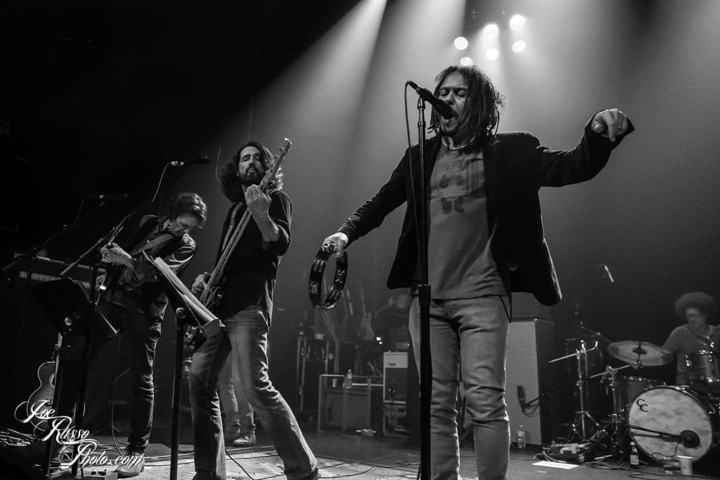 Magpie Salute NYC Russo