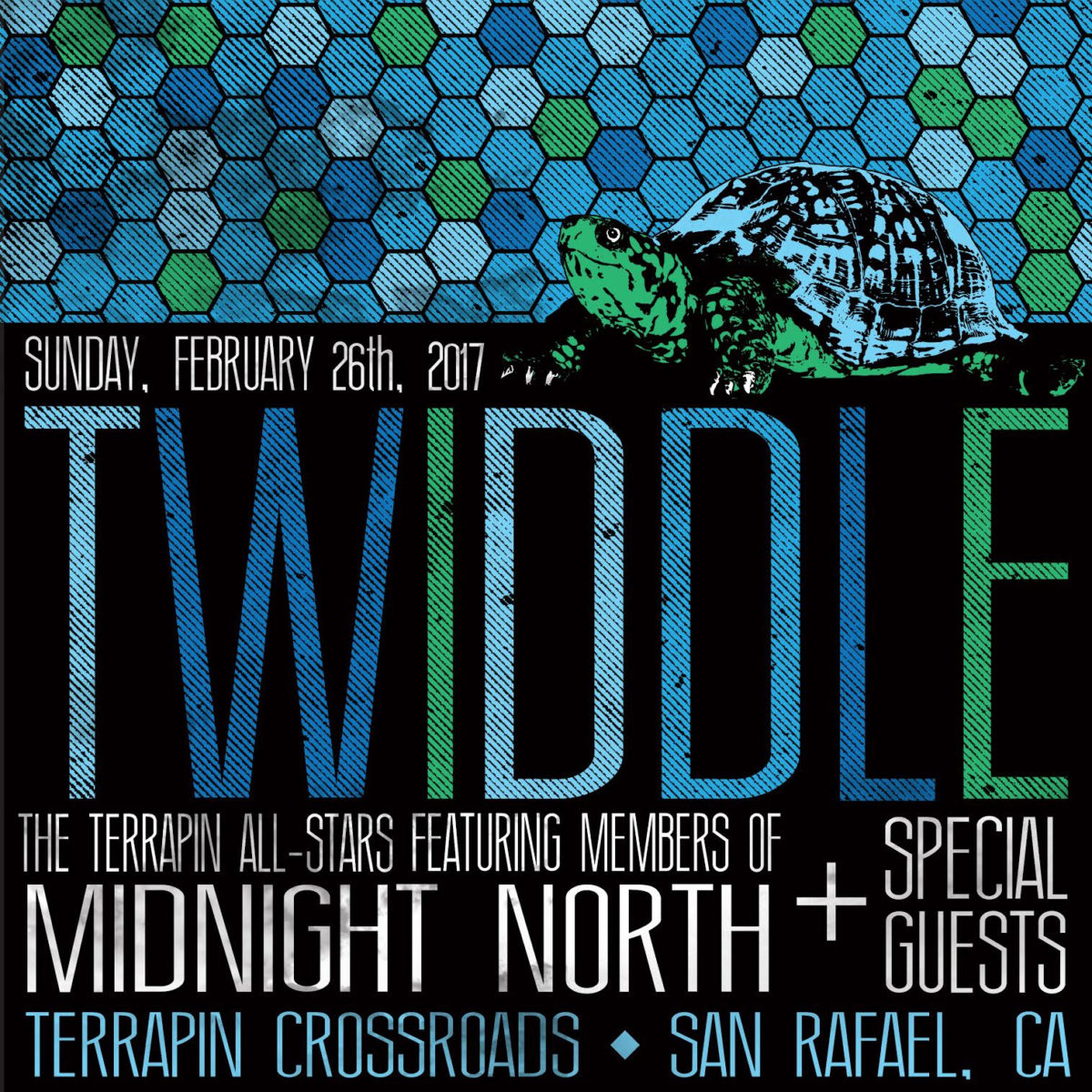 Twiddle Terrapin Poster