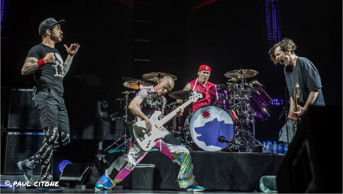 Red Hot Chili Peppers Los Angeles Paul Citone
