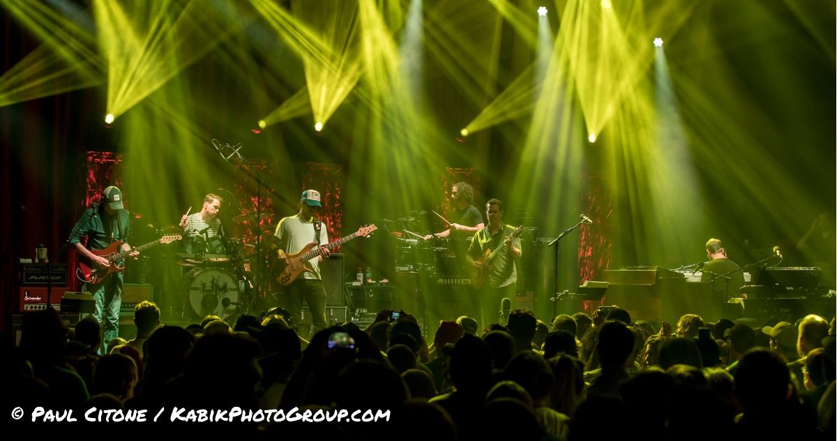 Umphreys Citone Vegas Crop