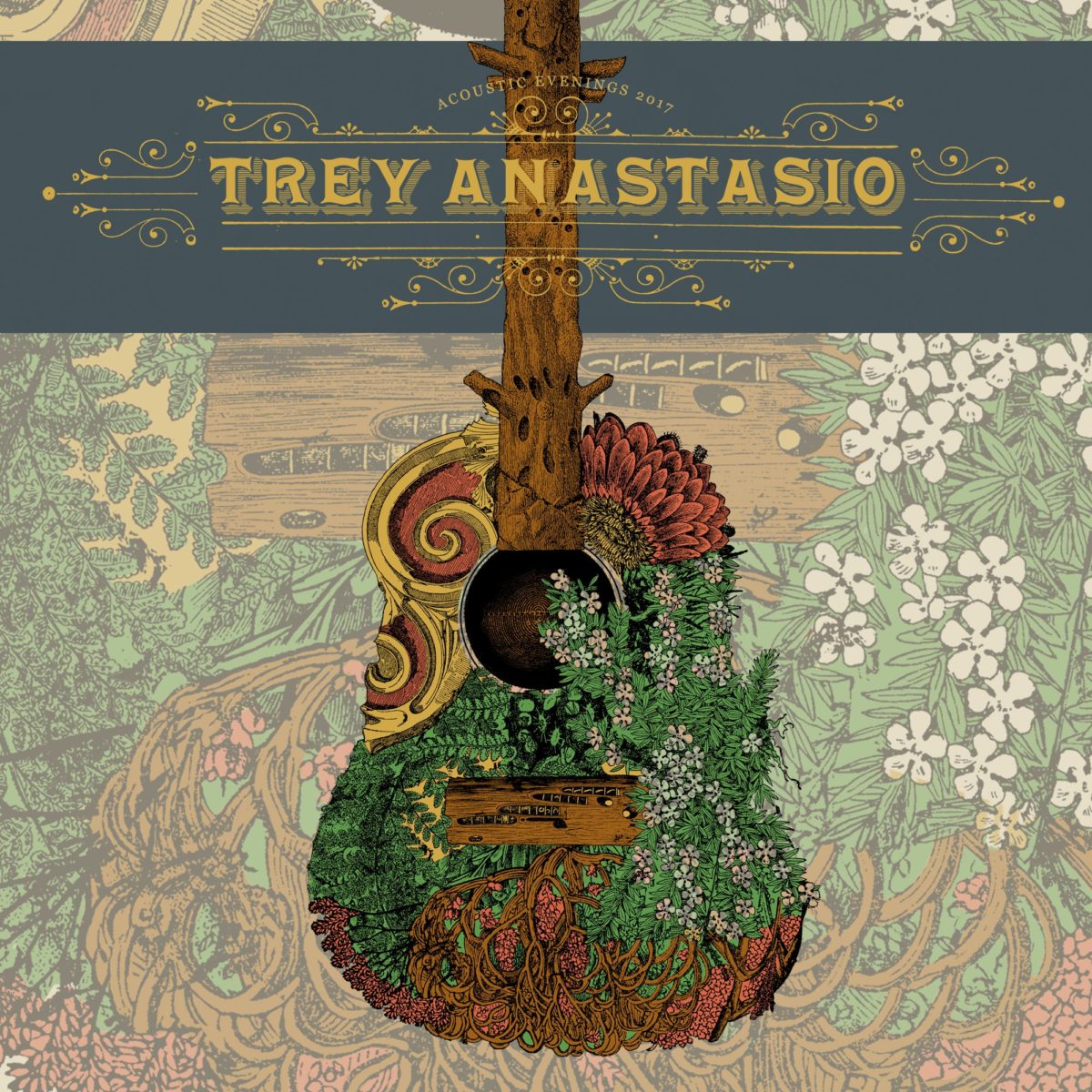 trey acoustic livephish