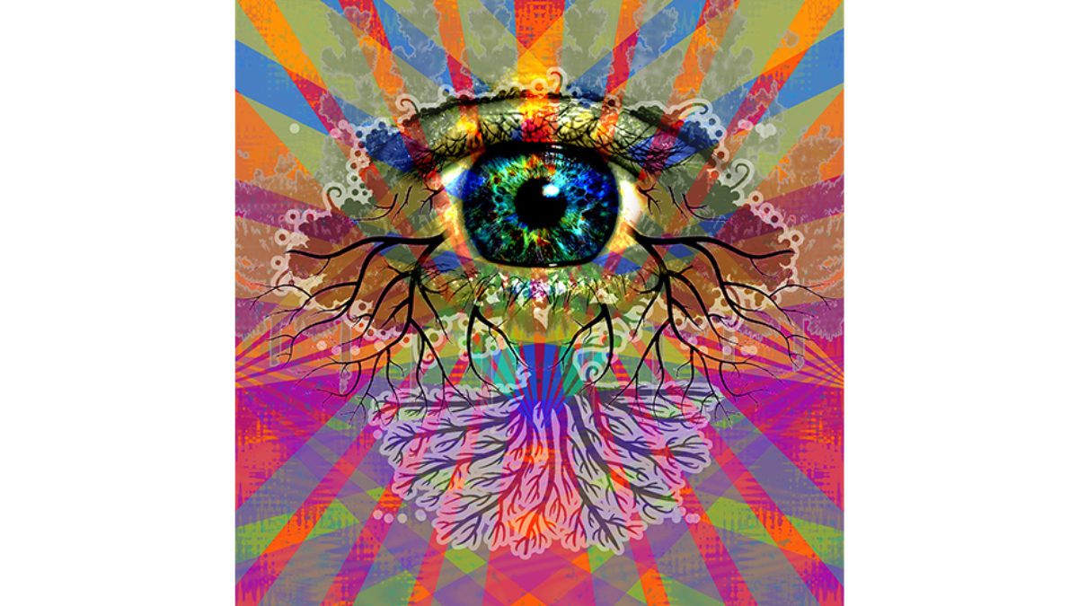 Cosmic Railroad Family Gathering