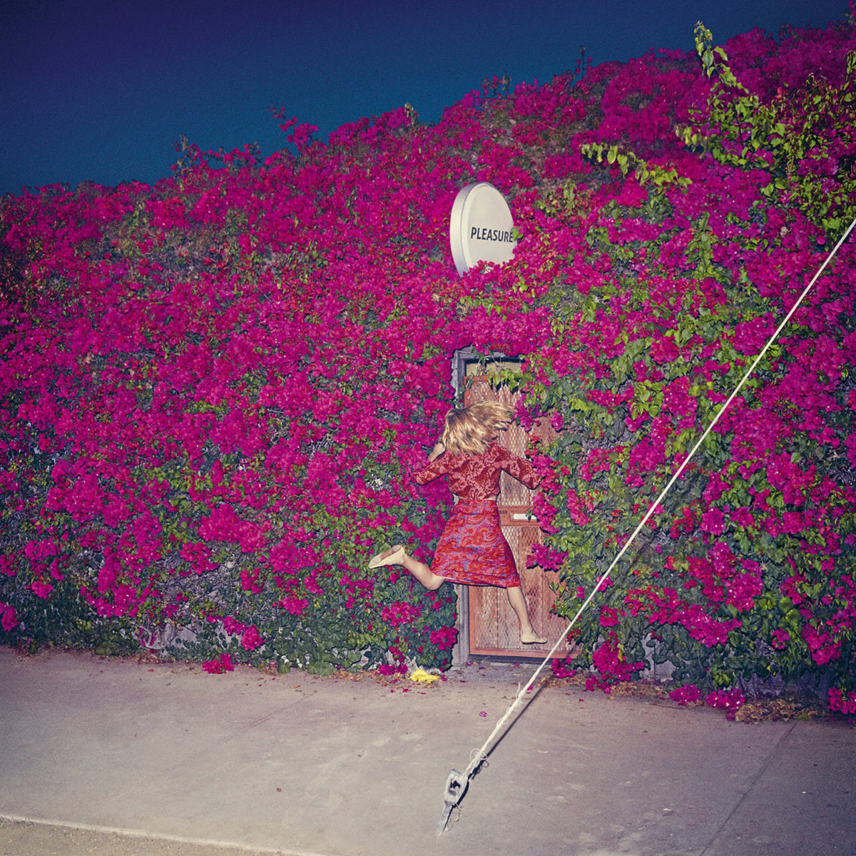 Pleasure Cover