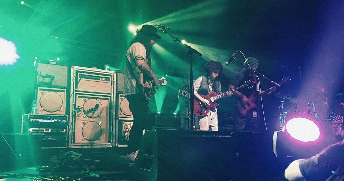 Twiddle Taz Instagram Crop