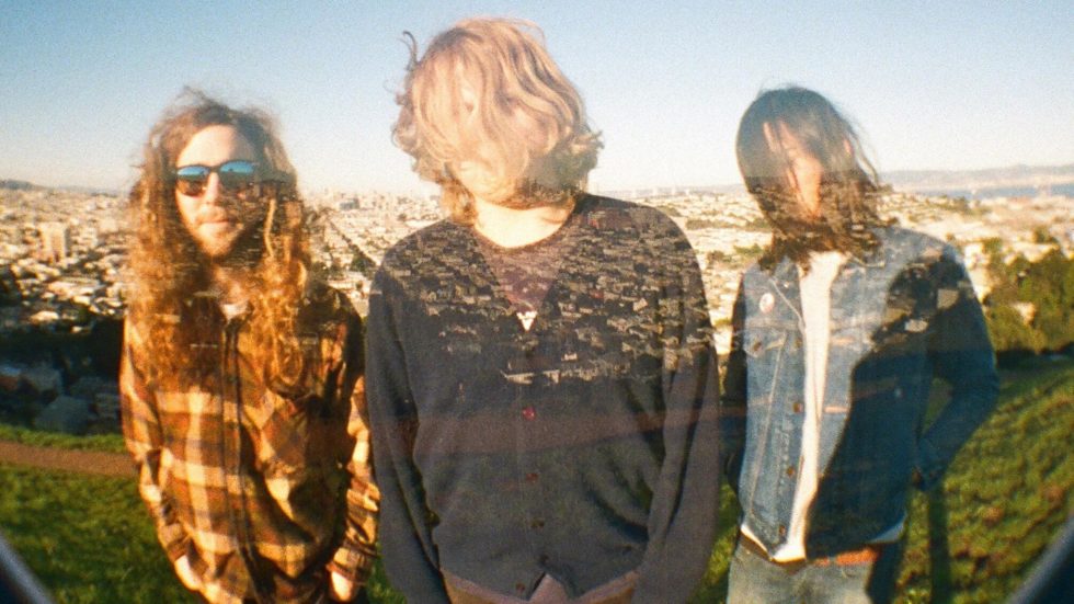 FUZZ and The Lavender Flu