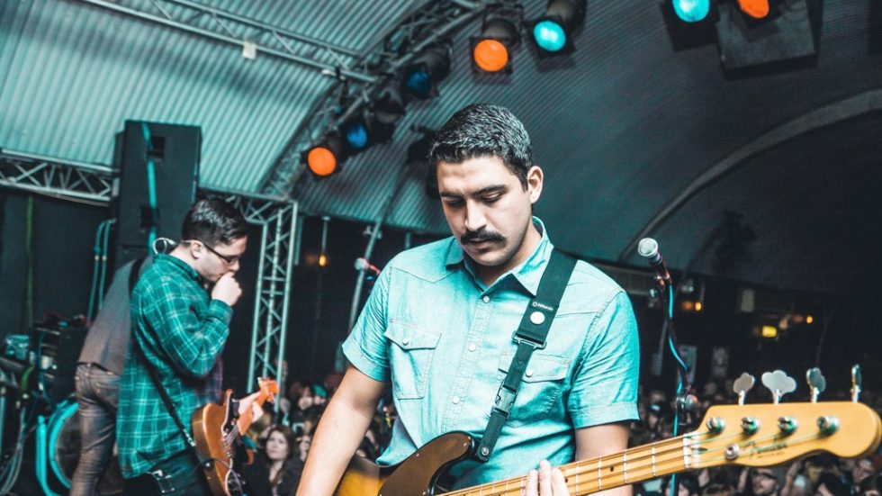 Seahaven, Flycatcher and more