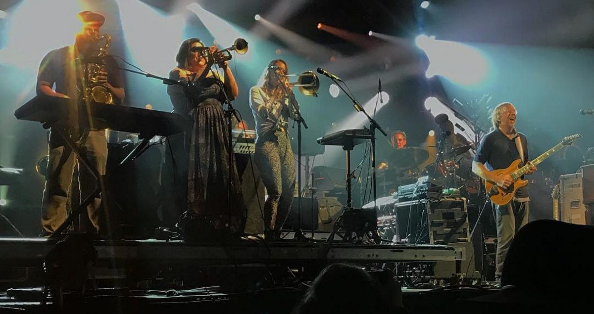 TAB Scamp Instagram Crop