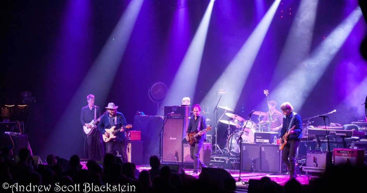 Wilco Blackstein Crop 11