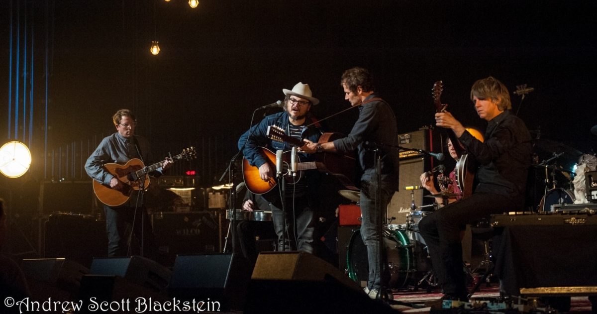 Wilco Blackstein Crop 4