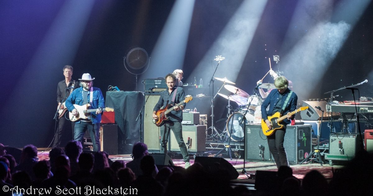 Wilco Blackstein Crop 7