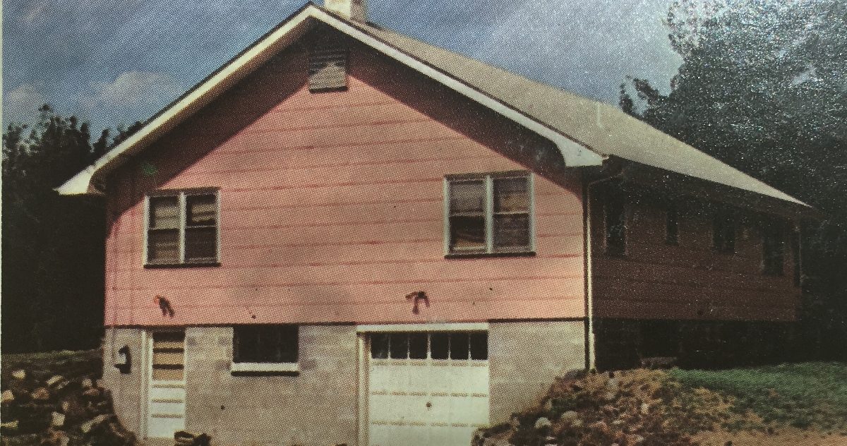 Big Pink Crop