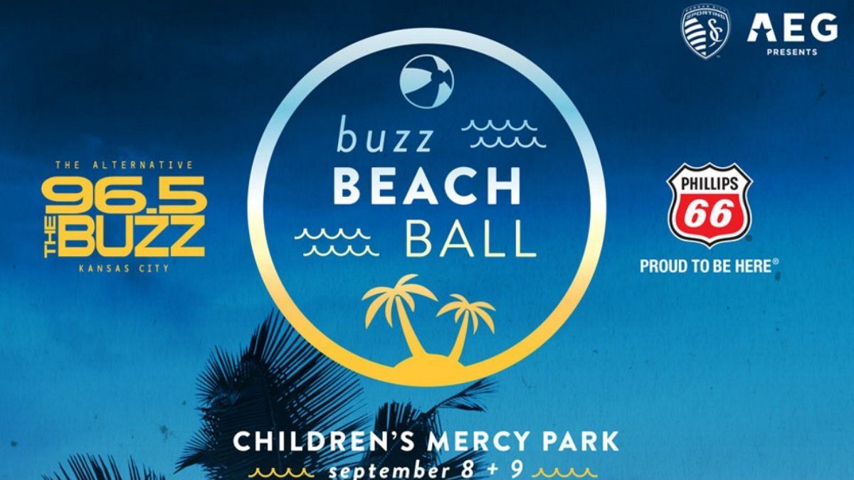 Buzz Beach Ball