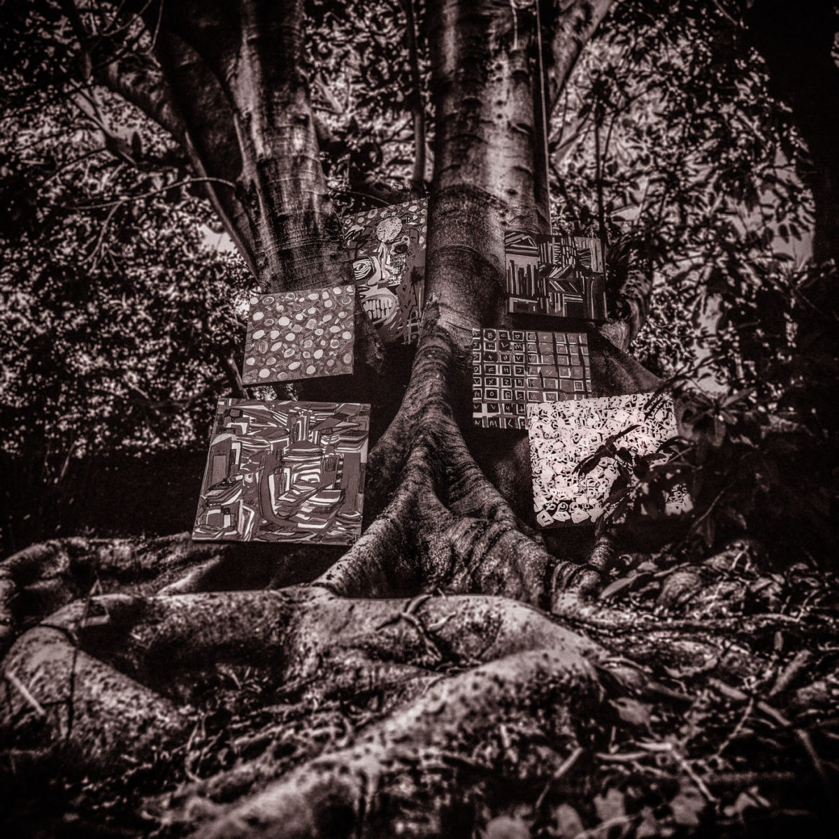 Harmony Of Difference Cover