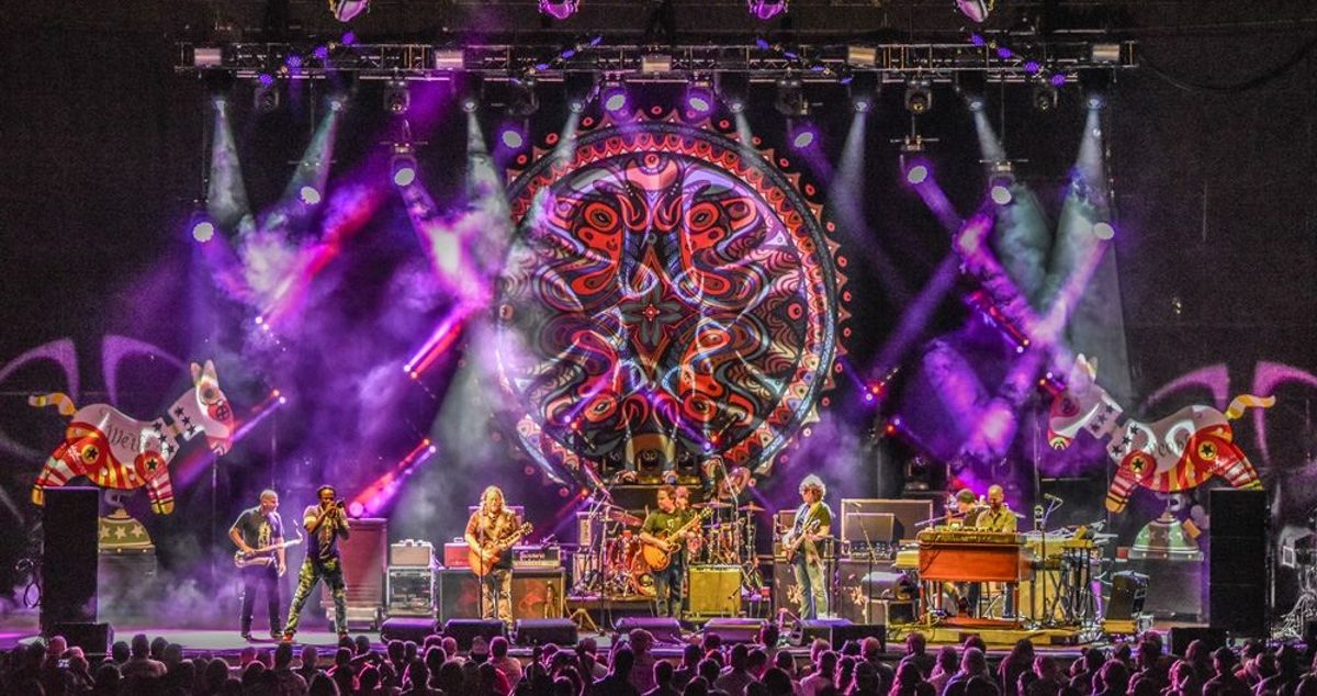 Mule Galactic Indy Crop