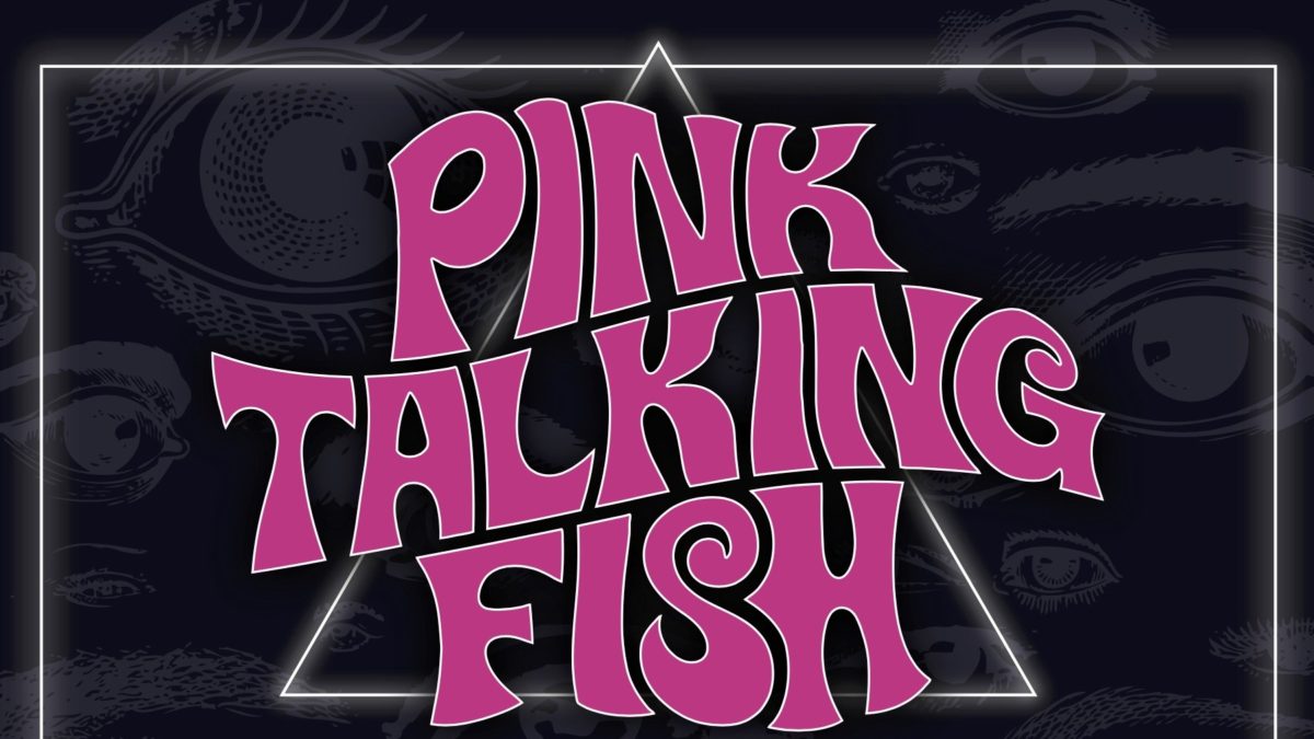 Pink Talking Fish Announces 2017 Fall Tour