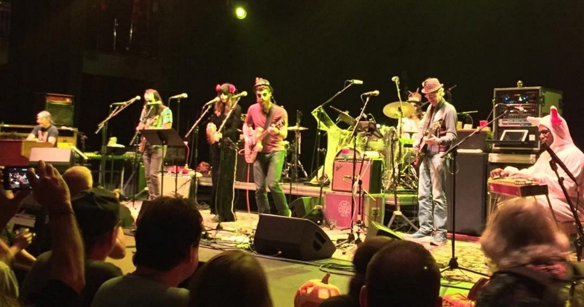 Phil Terrapin Band Halloween Instagram crop