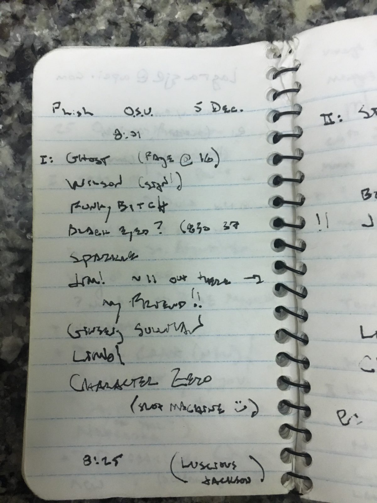 Set One Welsh Setlist Book