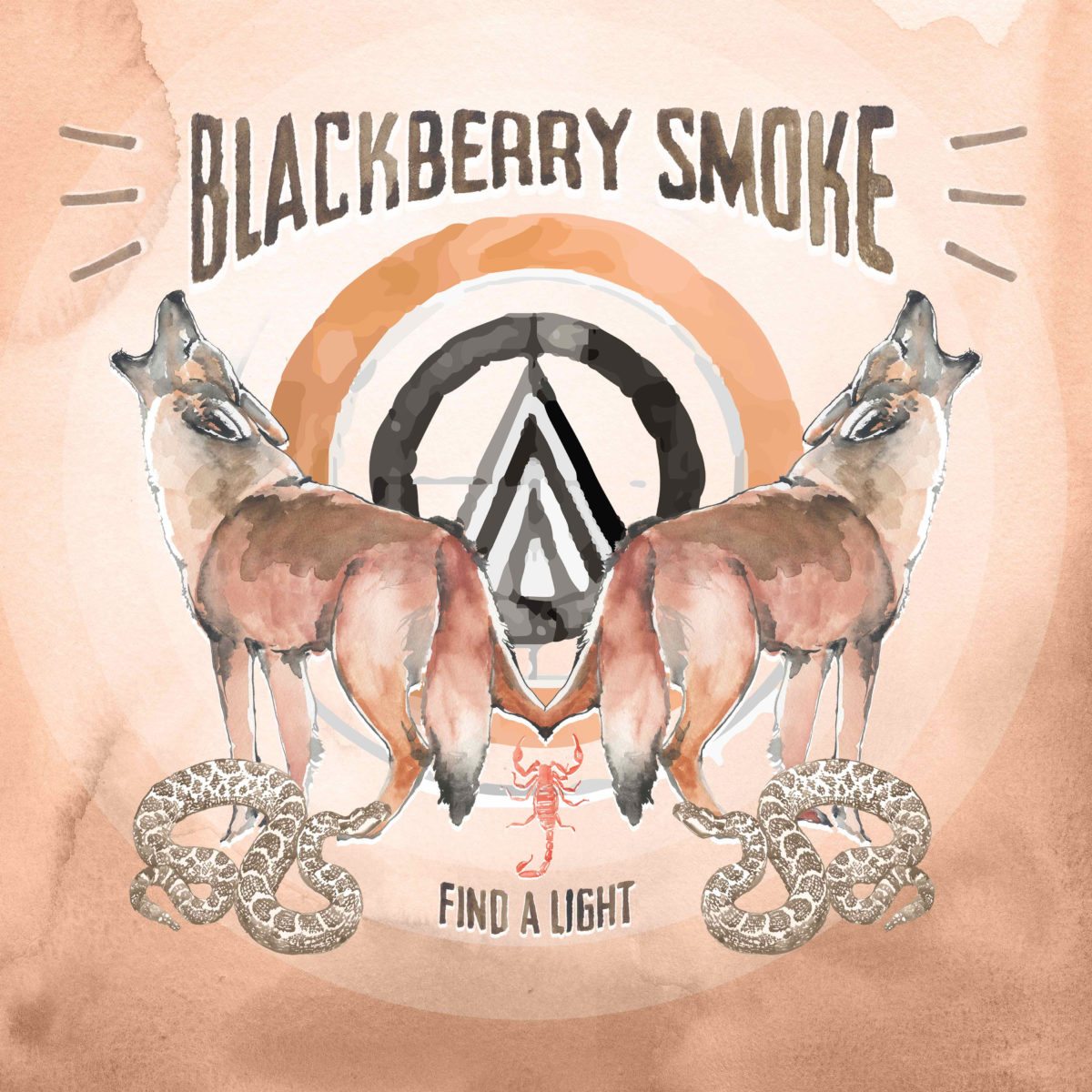 Find A Light Cover Blackberry SMoke