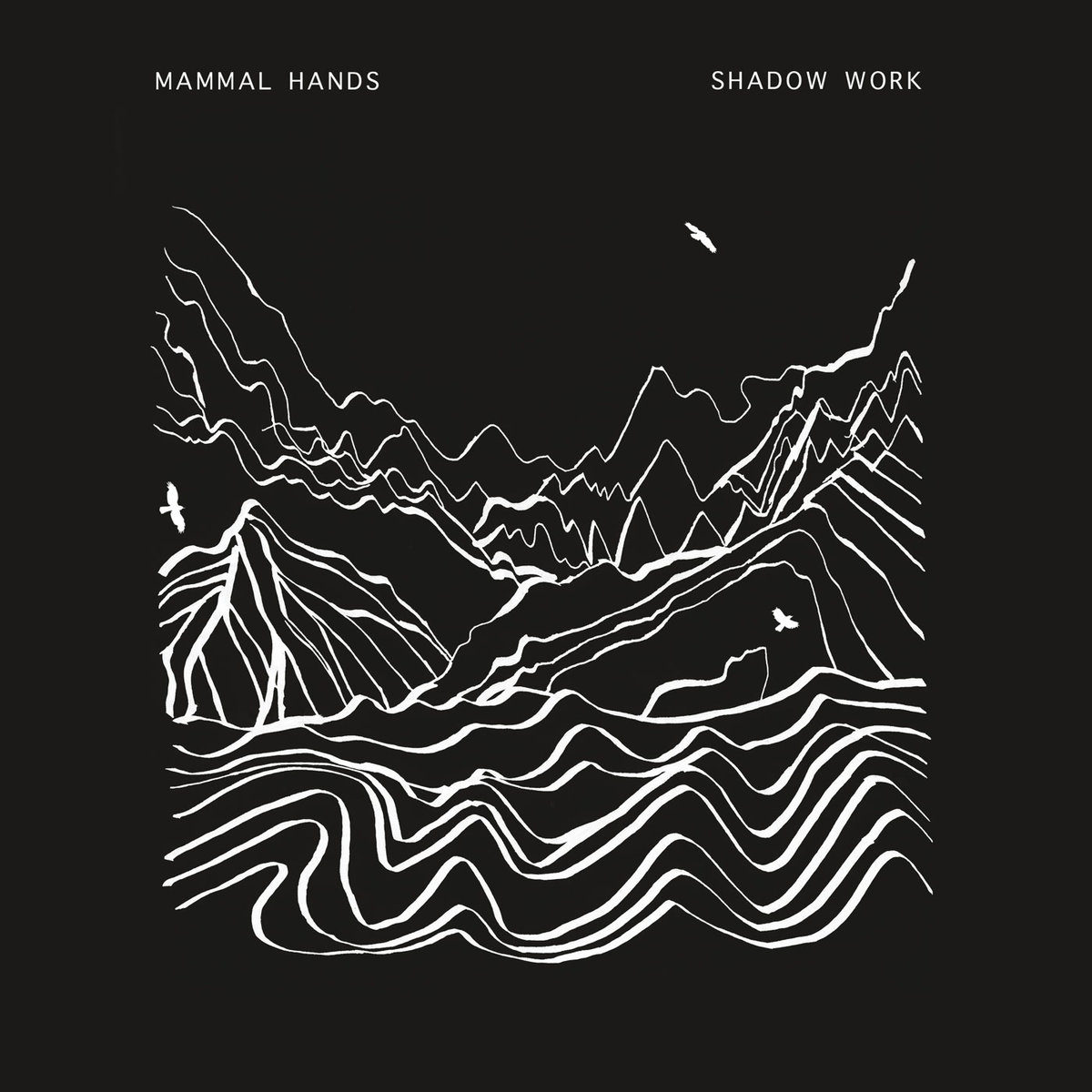 Shadow Work Cover