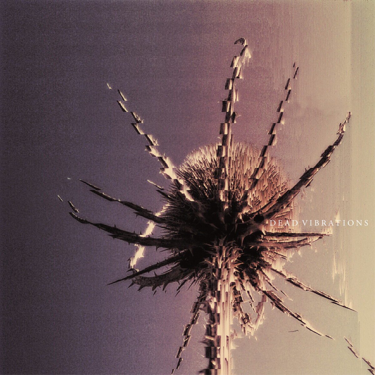 Dead Vibrations Cover