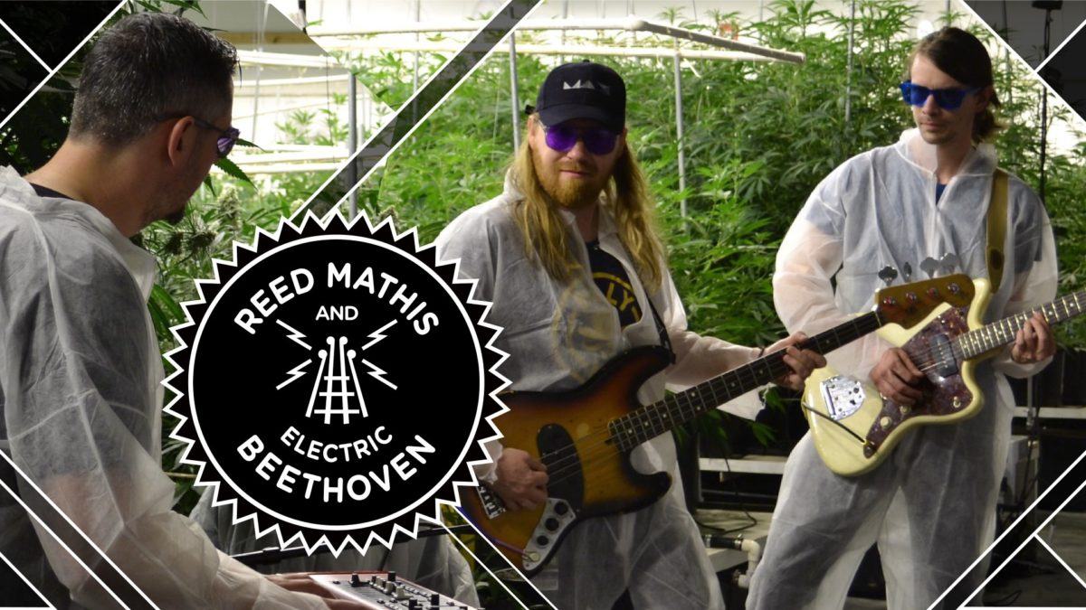 Electric Beethoven Announces 'High Holidays' Run