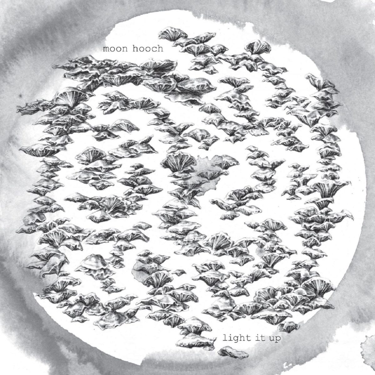 Light It Up Cover Art