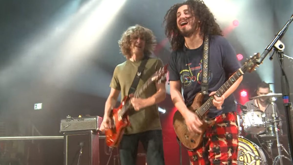 Pro-Shot Video: Pigeons Playing Ping Pong Share October 2017 Boulder Show