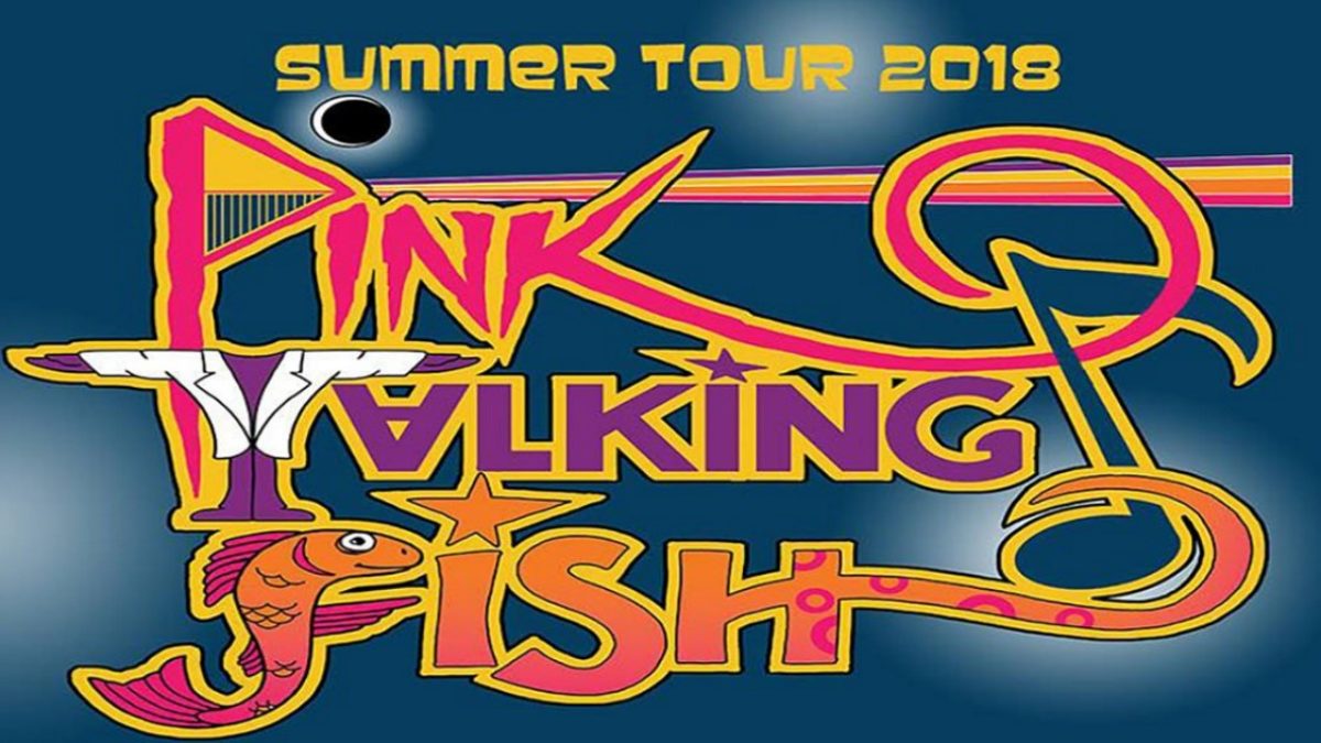 Pink Talking Fish Details 2018 Summer Tour