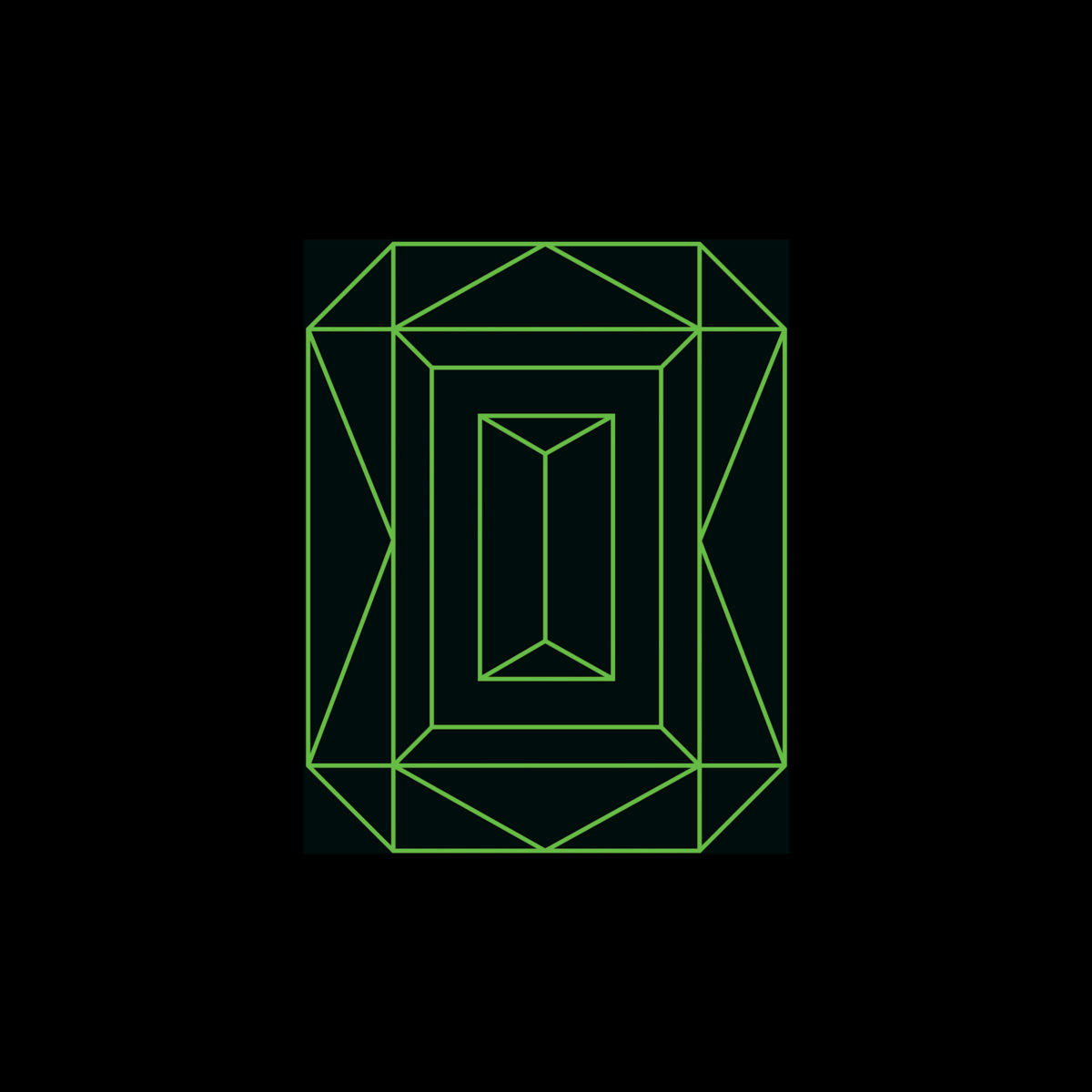 Vide Noir Cover