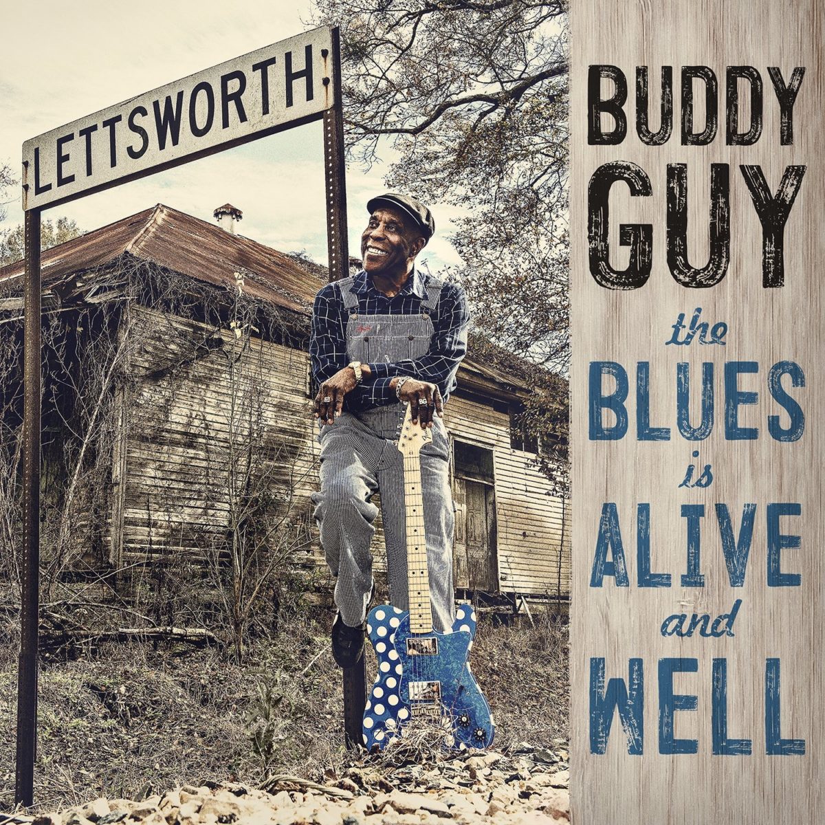 Blues Alive And Well Cover
