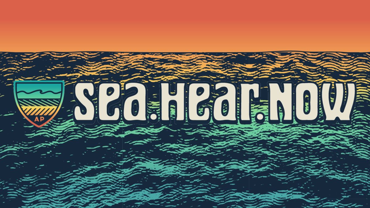 Sea.Hear.Now Festival Announces 2018 Lineup Additions
