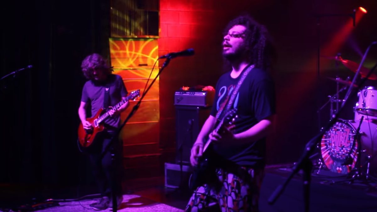 Pro-Shot Video: Pigeons Playing Ping Pong Perform 'Avalanche' In Athens