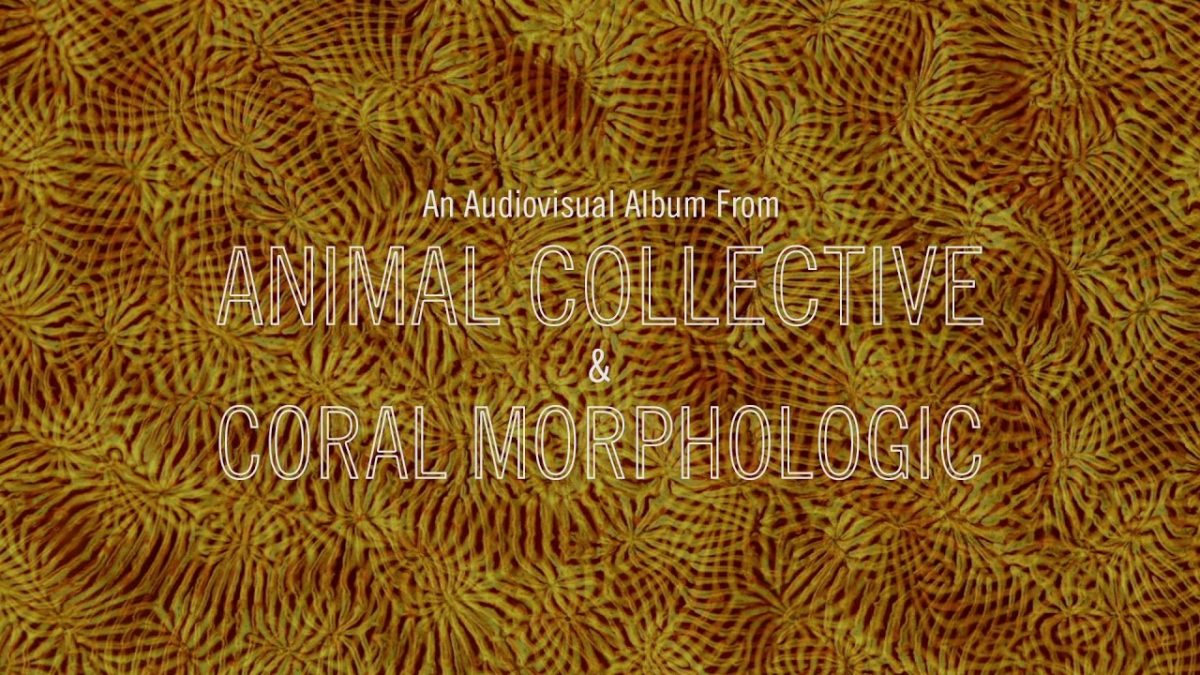 Animal Collective Announces New Album 'Tangerine Reef' & Shares Single