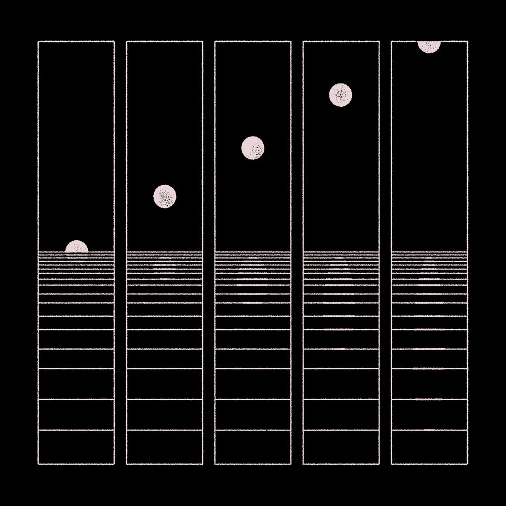 Let It Wander Cover