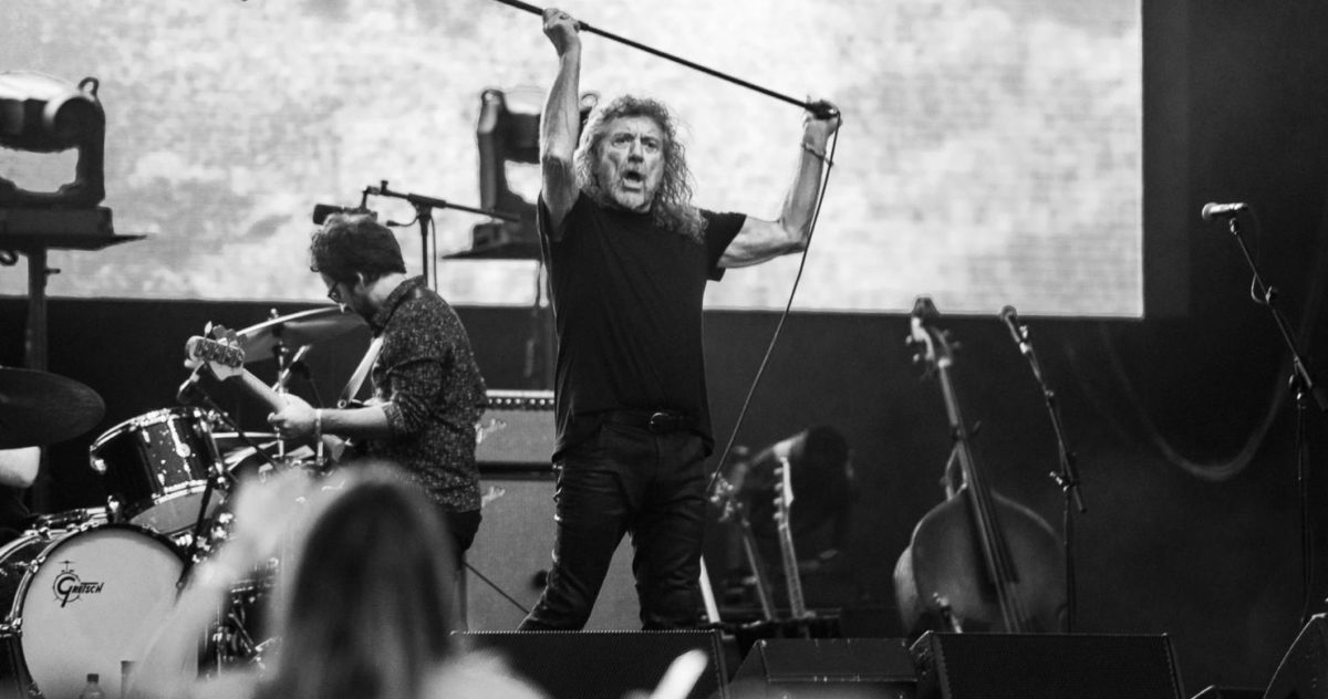 Robert Plant Port Crop