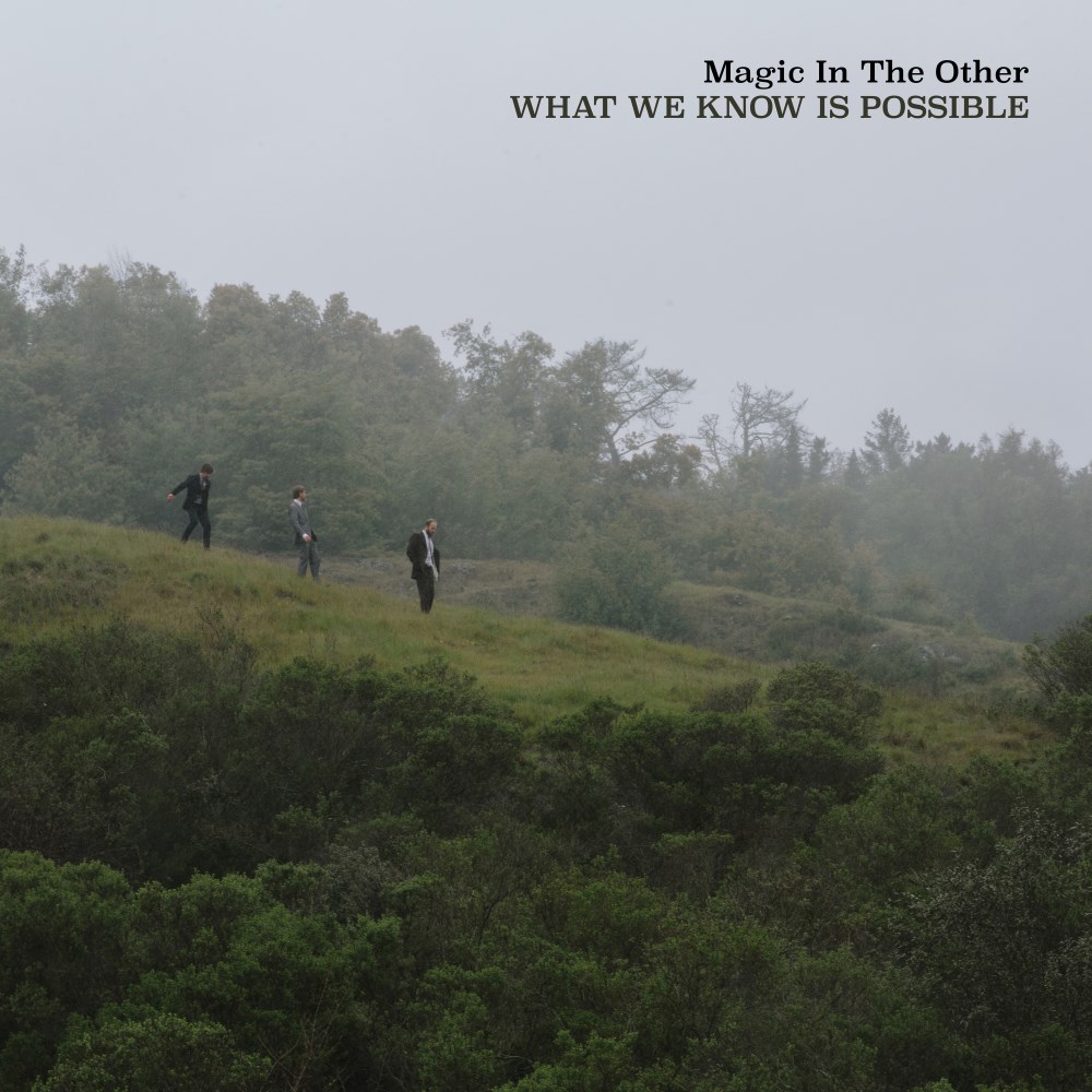 What We Know Is Possible Cover Art