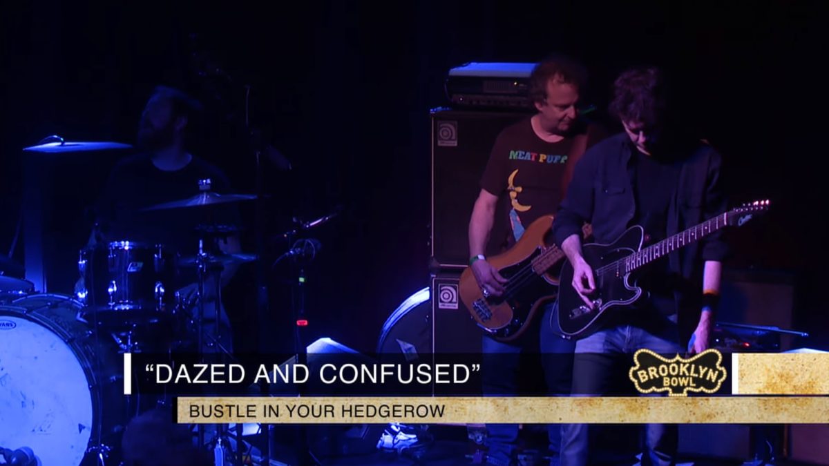 Bustle In Your Hedgerow Performs 'Dazed & Confused': Pro-Shot Video