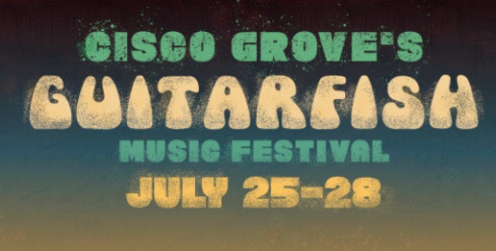 Guitarfish 2019