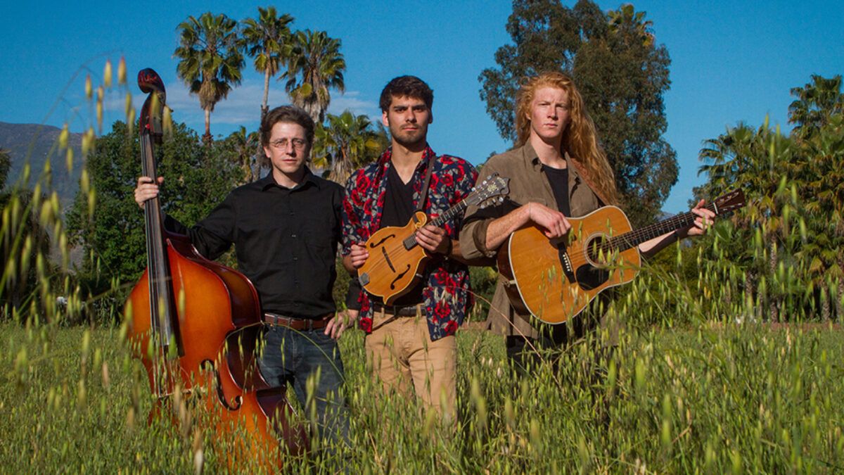 The Rose Valley Thorns