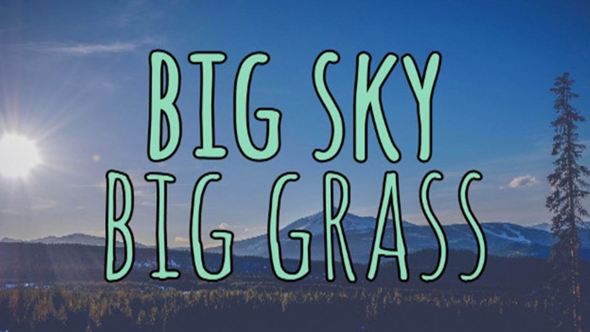 Big Sky Big Grass