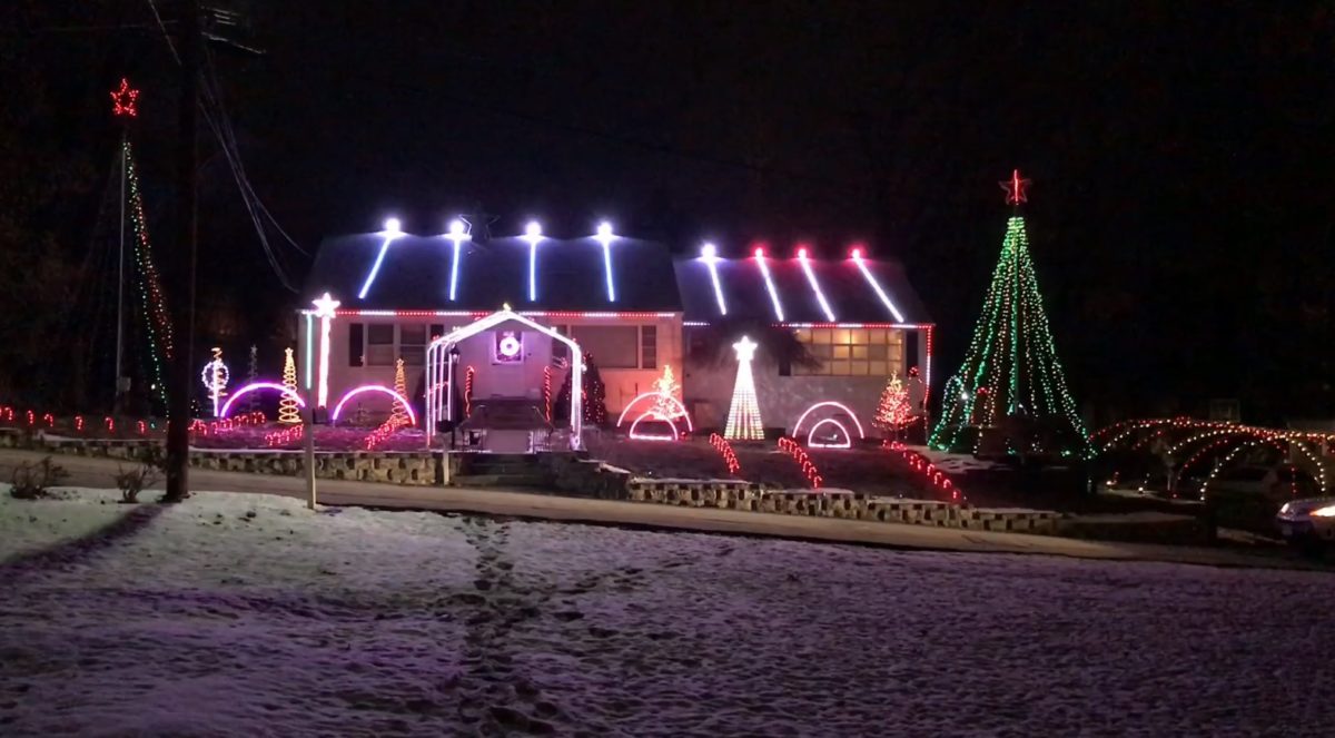 Phish Holiday Lights Llama