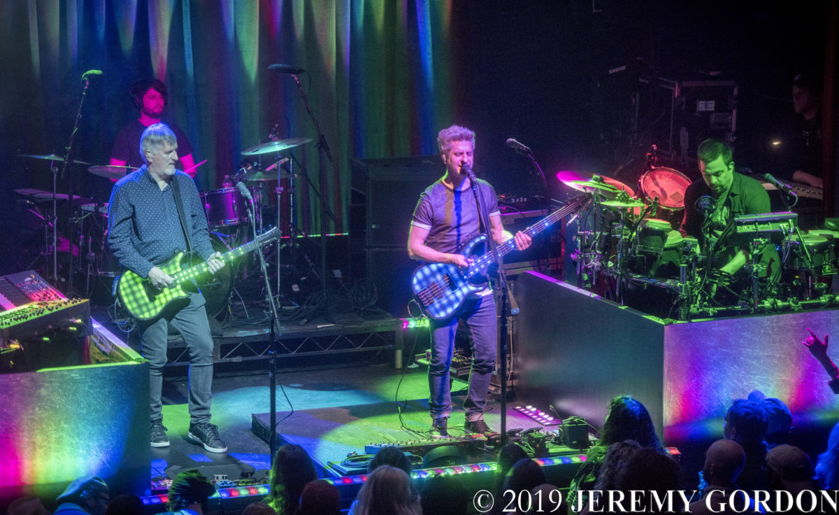 Mike Gordon