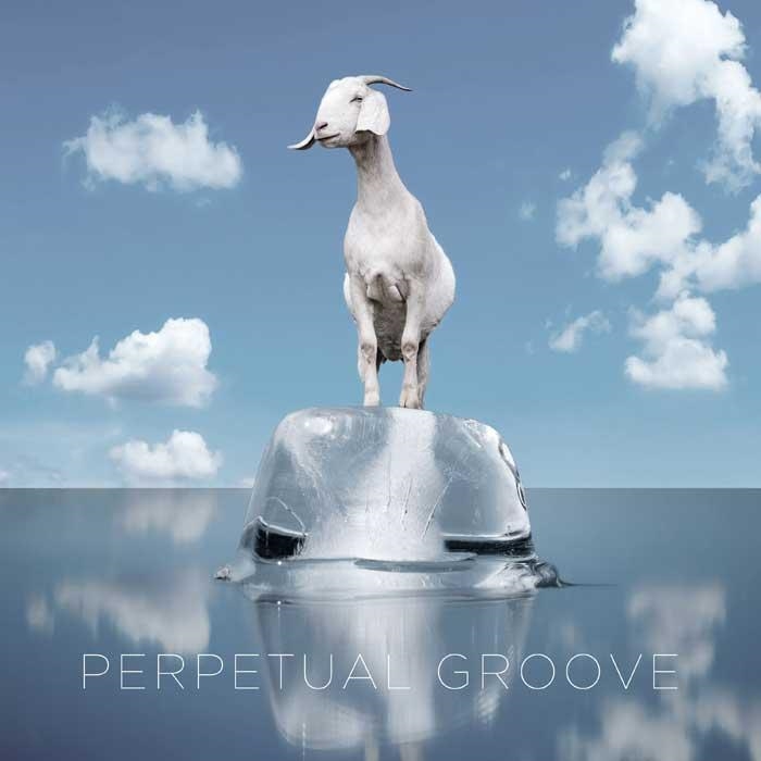Perpetual Groove Cover Art